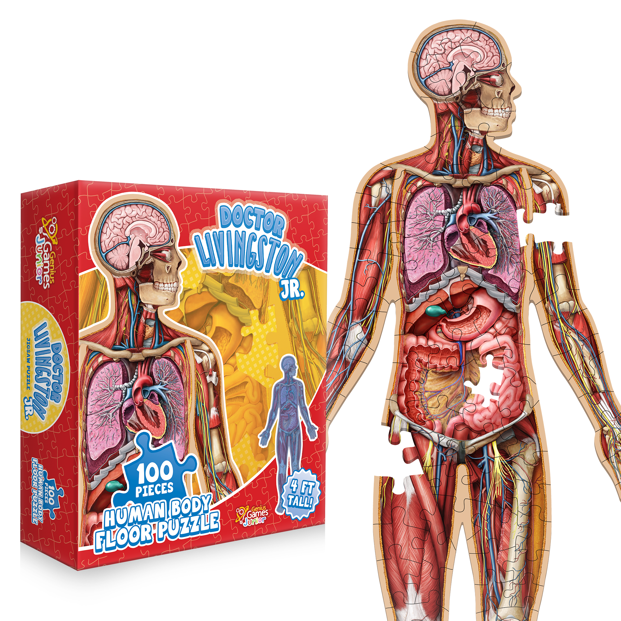 Kid's 100 Piece Human Body Floor Puzzle - 4ft Tall | Dr Livingston's Unique Shaped Science Floor Jigsaw Puzzle