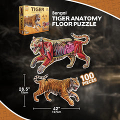 Tiger Animal Anatomy Floor Puzzle | 100-Piece Double Sided Jigsaw Puzzle | Large-Sized, Over 3 FT - Scientifically Accurate Illustration - Fun and Educational Toy for Kids, Toddlers and Families