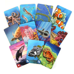 Ecosystem: Coral Reef | A Card Drafting Game of Marine Competition