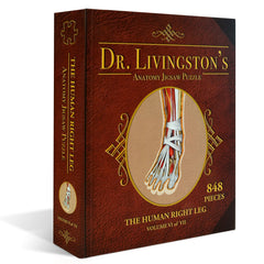 Right Leg Anatomy Jigsaw Puzzle | Dr Livingston's Unique Shaped Science Puzzles, Accurate Medical Illustrations of the Body, Thighs, Knees, Calves and Feet