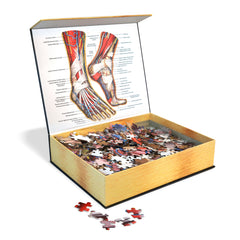 Human Feet Anatomy Jigsaw Puzzle | Dr. Livingston's Unique Shaped Science Puzzles