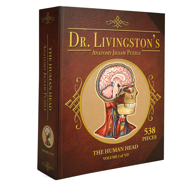 Anatomy Jigsaw Puzzle: Head