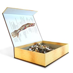 Left Arm Anatomy Jigsaw Puzzle | Dr Livingston's Unique Shaped Science Puzzles, Accurate Medical Illustrations of the Body, Biceps, Elbow, Wrists and Hands