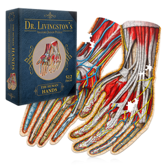 Human Hands Anatomy Jigsaw Puzzle | Dr. Livingston's Unique Shaped Science Puzzles