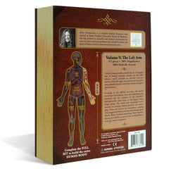 Left Arm Anatomy Jigsaw Puzzle | Dr Livingston's Unique Shaped Science Puzzles, Accurate Medical Illustrations of the Body, Biceps, Elbow, Wrists and Hands