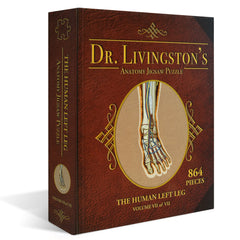 Left Leg Anatomy Jigsaw Puzzle | Dr Livingston's Unique Shaped Science Puzzles, Accurate Medical Illustrations of the Body, Thighs, Knees, Calves and Feet