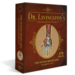 Right Arm Anatomy Jigsaw Puzzle | Dr Livingston's Unique Shaped Science Puzzles, Accurate Medical Illustrations of the Body, Biceps, Elbow, Wrists and Hands