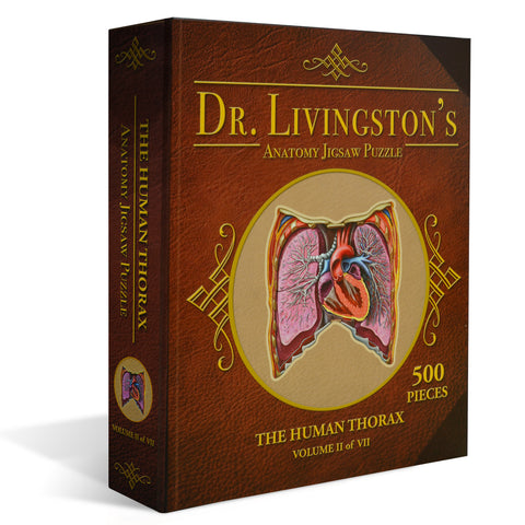 Anatomy Jigsaw Puzzle: Thorax – Genius Games EU
