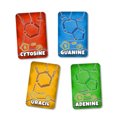 Peptide Protein Building Game - mRNA Nucleotide Cards - Cytosine, Guanine, Uracil & Adenine